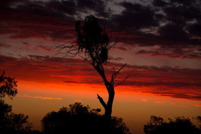 National Sorry Day 2021 – A Day of Reflection