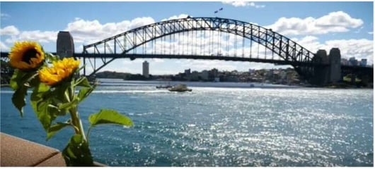 Sydney Harbour ceremony remembers those lost to suicide
