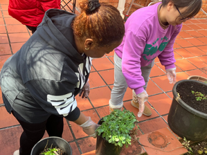 tenent-newsletter-2025-october