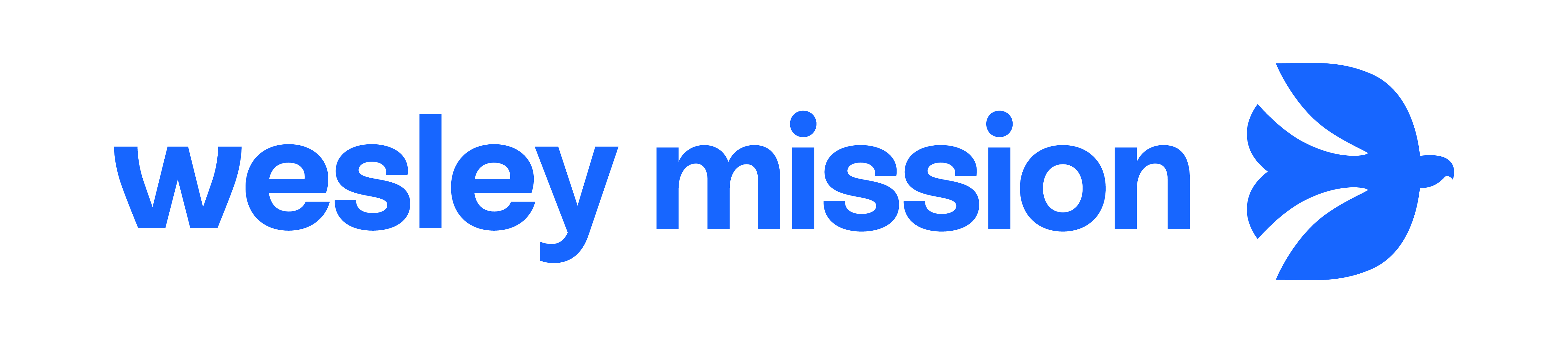 Cleaner - Care service village