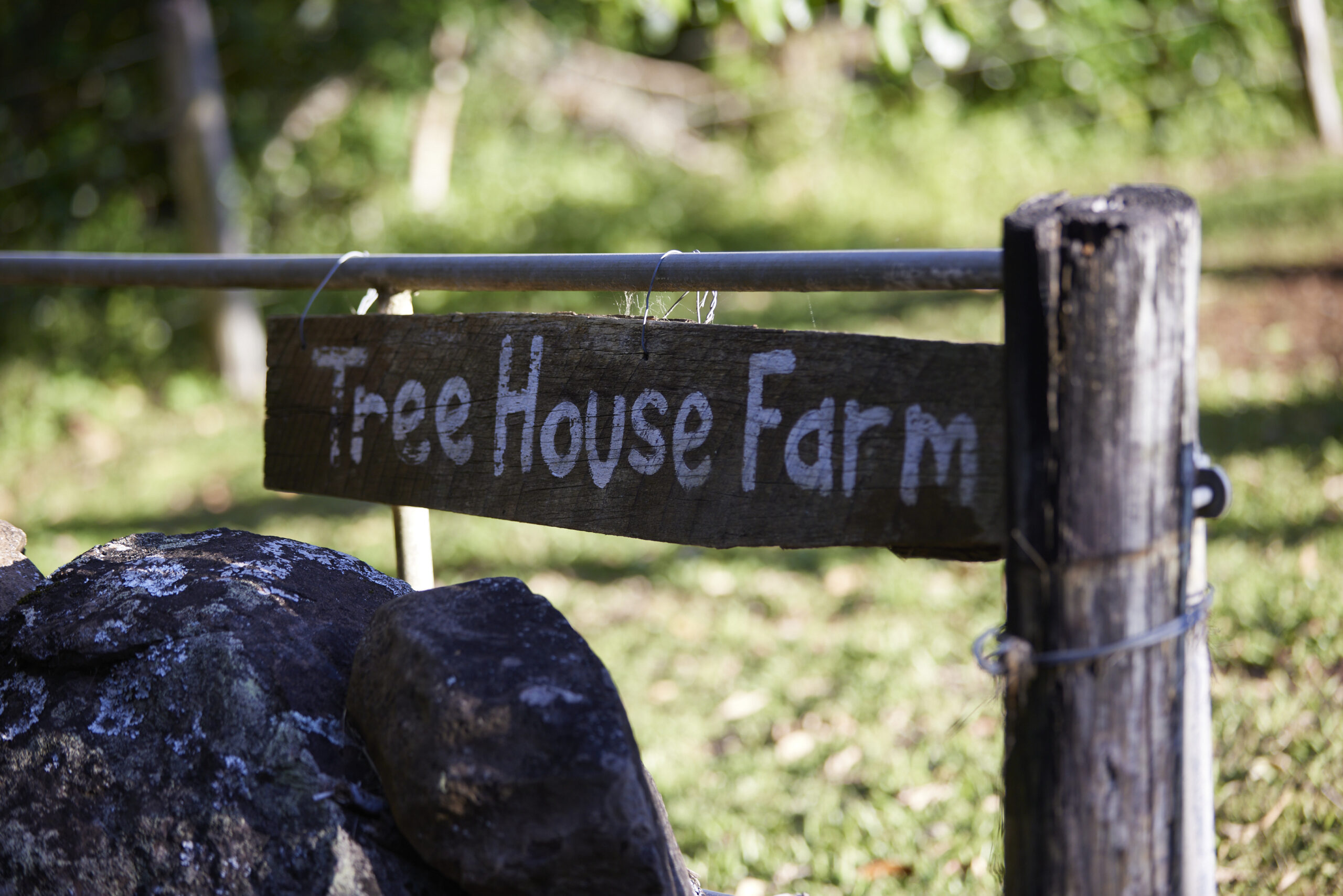 Treehouse Farm, Ballina