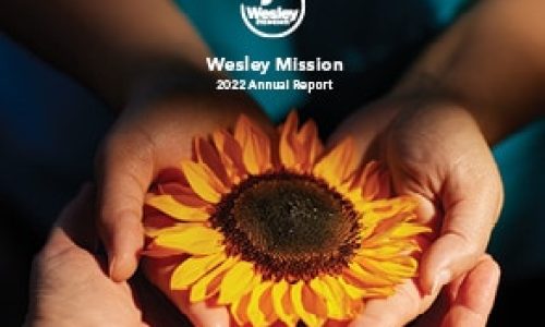 hands holding sunflower annual report